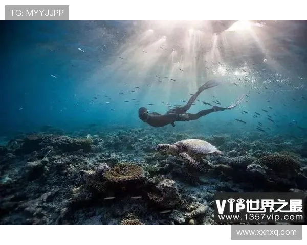 极限运动灵活性评比揭晓西安极限运动队荣获第十名佳绩