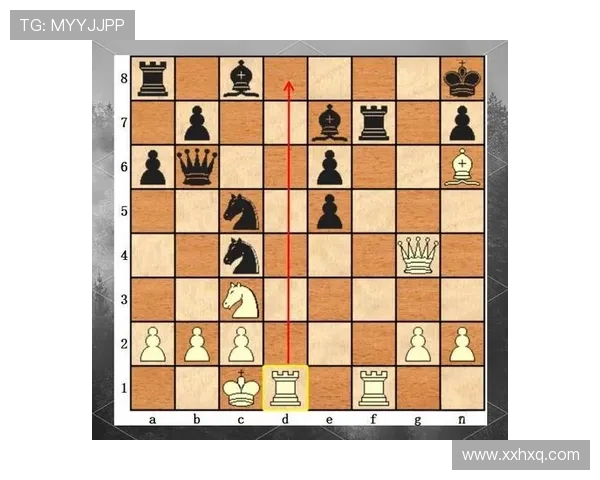 武汉排球队速度对比深度解析与战术优势探讨