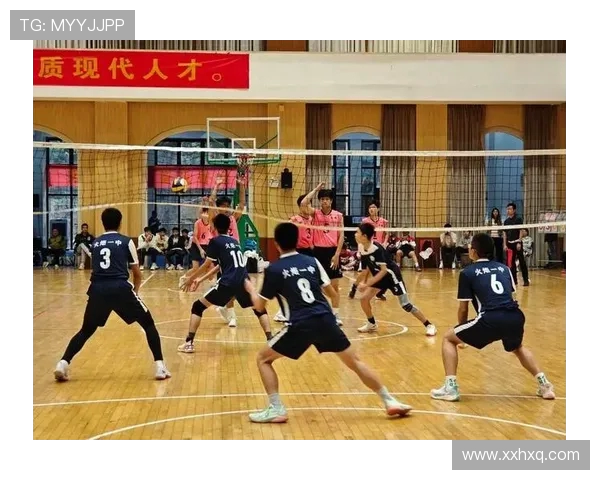 深圳排球队在世界杯中的耐力表现引发热议展现拼搏精神与团队协作